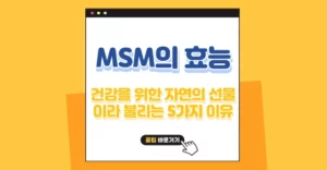 MSM의 효능 5가지, 건강을 위한 자연의 선물 MSM의 효능