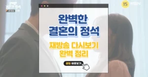 완벽한결혼의정석 웹툰 재방송 다시보기 방법 4가지 총정리 완벽한결혼의정석 재방송 다시보기