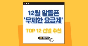 12월 알뜰폰 무제한 요금제 가성비 선별 TOP 12 추천 12월 알뜰폰 무제한 요금제 추천