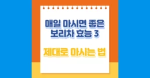 매일 마시면 좋은 보리차 효능 3가지와 보리차 제대로 마시는 법 보리차 효능