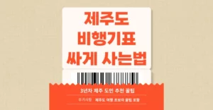 제주도 비행기표 싸게 사는법 3년차 제주 도민 추천 꿀팁 제주도 비행기표 싸게 사는법