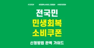 2025 전국민 민생회복 소비쿠폰 신청방법 완벽 가이드