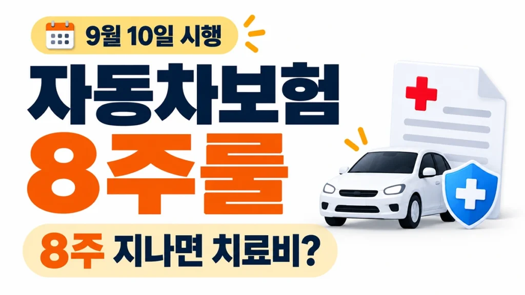 2026 자동차보험 8주룰 9월 10일 시행과 8주 초과 치료비 안내